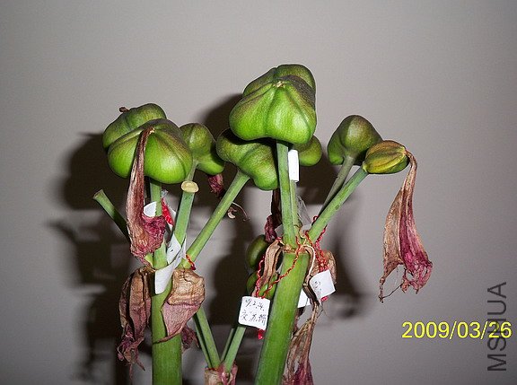 ��Ƭ 141(576).jpg