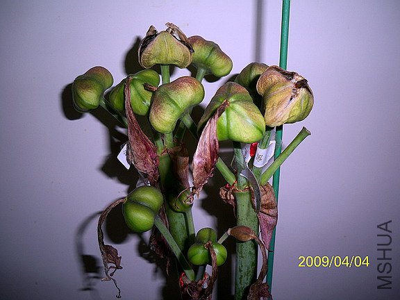 ��Ƭ 143(576).jpg