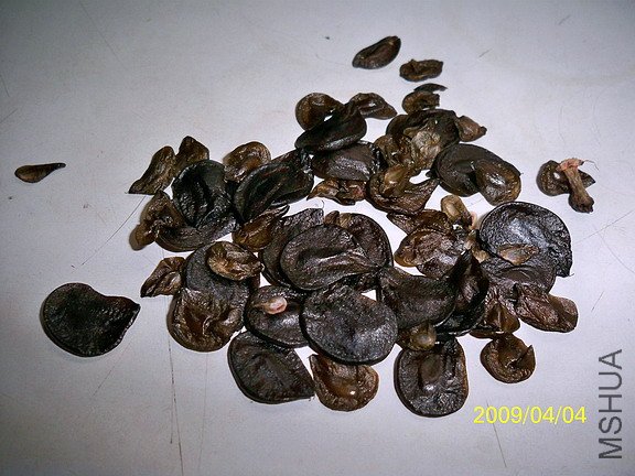 ��Ƭ 144(576).jpg