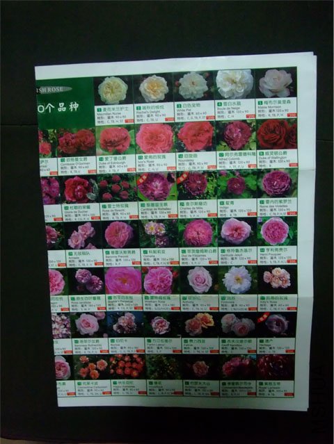 002����.jpg