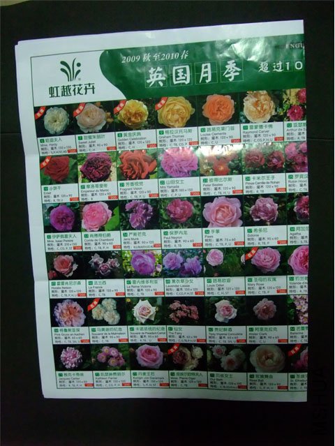 003����.jpg