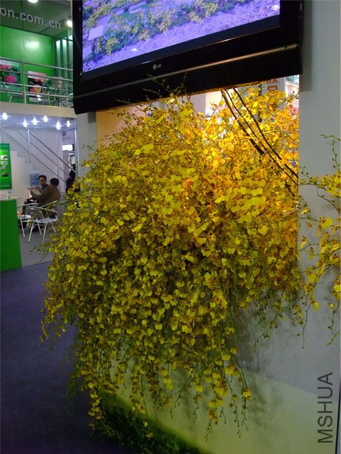 DSCF0023.JPG