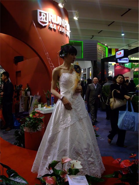 DSCF0031.JPG