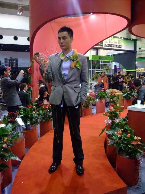 DSCF0029.JPG