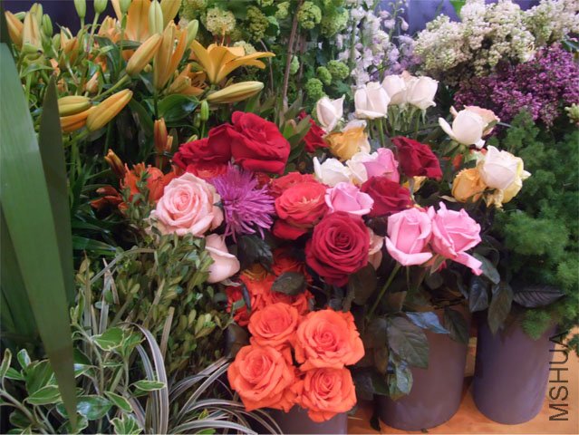 DSCF0043.JPG