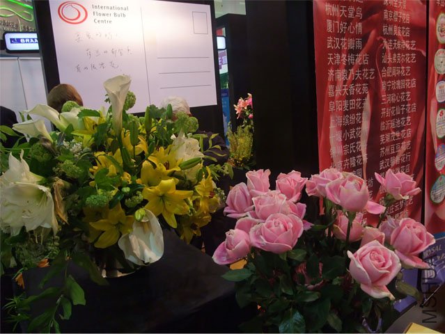 DSCF0041.JPG