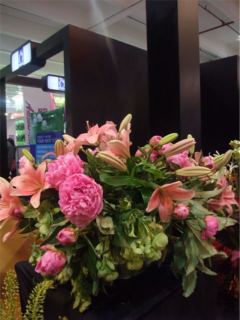 DSCF0047.JPG