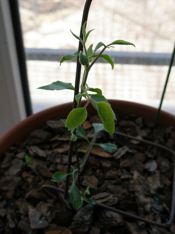 ����Ҳ̫�����ˡ�����