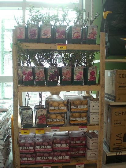 �¼�,��֪����Ʒ�ֲ���,�ϳ���һ����˫ϲ.