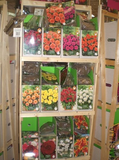 ����Щ��ͨ�����ֲ��,�󲿷ְ���ʶ.