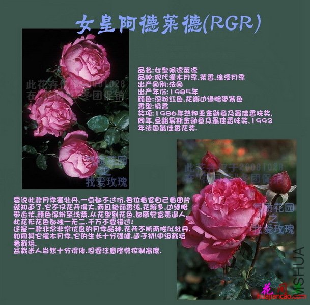 RGR Ů�ʰ�������.jpg