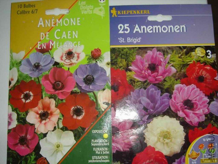 ������С DSC01044.jpg