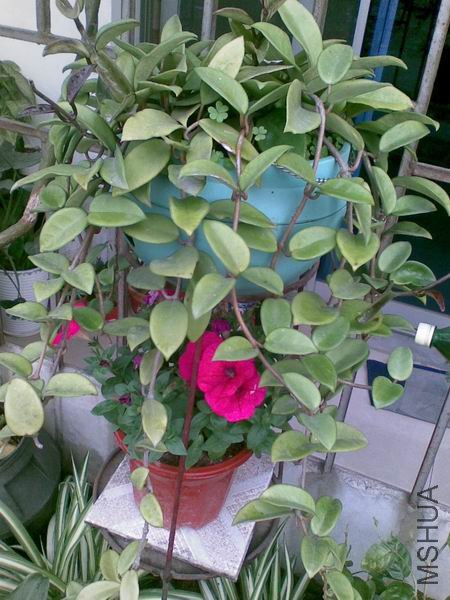 ������С ����.jpg