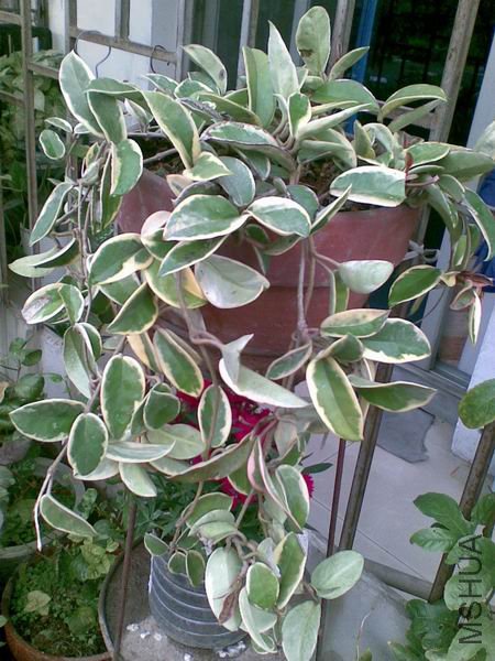 ������С ����1.jpg