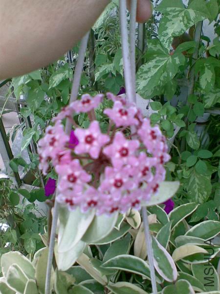 ������С ����0.jpg