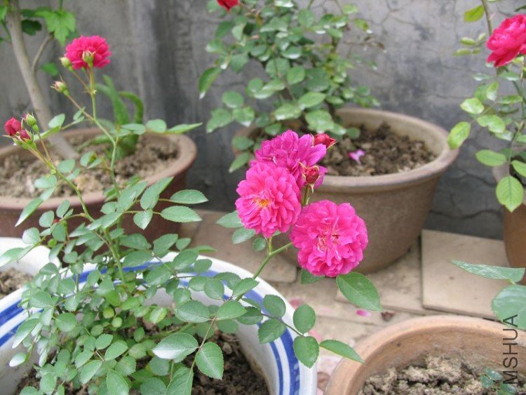 �¼��� 131.jpg