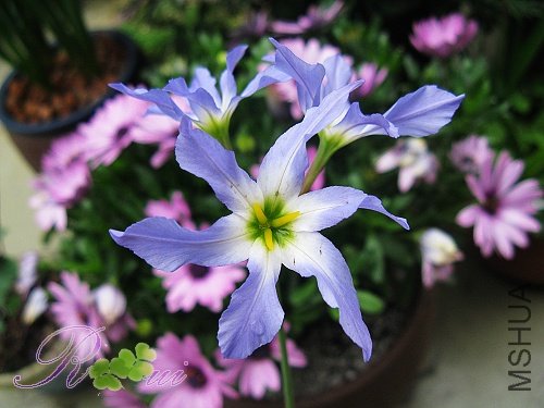 ����ٺ�-�� 6.jpg