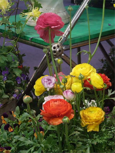 DSCF0054.JPG
