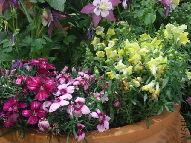 DSCF0055.JPG