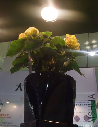 DSCF0065.JPG