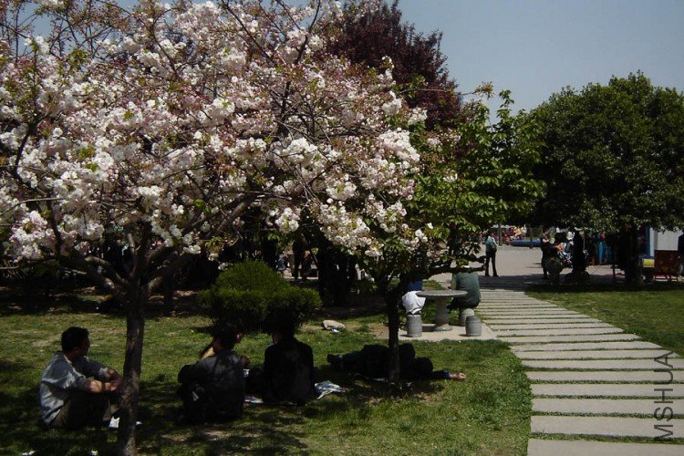 DSC07728-.jpg