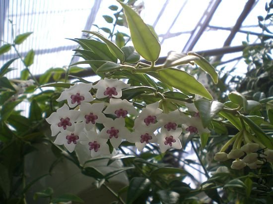 ��Ư����.