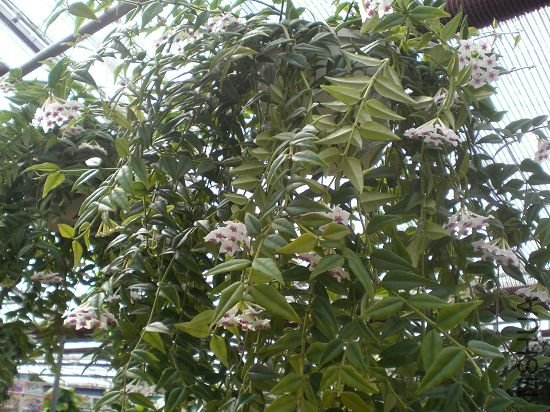 ����,�ô��һ��,Ҳ��ĺ�,����,����.