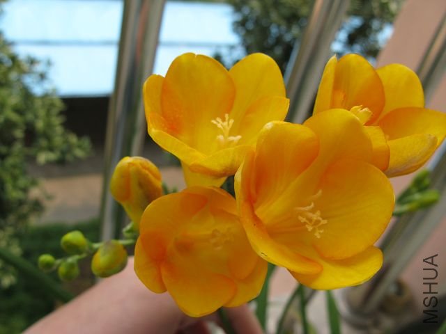 �ֿ��˼���