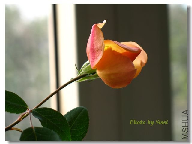 �������ϸմ򿪻����ĺ���~