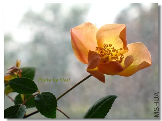 ���꽥����������Ҫ��������~