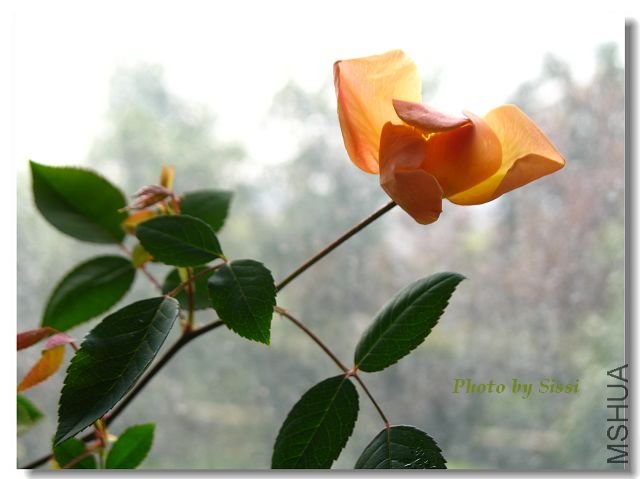 ����ʱ�������ĺ�£~