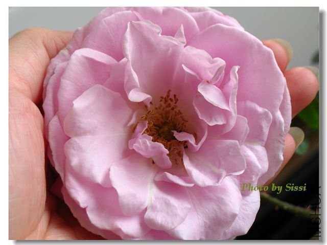 ����������˺ܾò����ţ�����ԭ��û�еõ������Ӫ������ʱ�����ײ����б���ҧ���ĺۼ�~