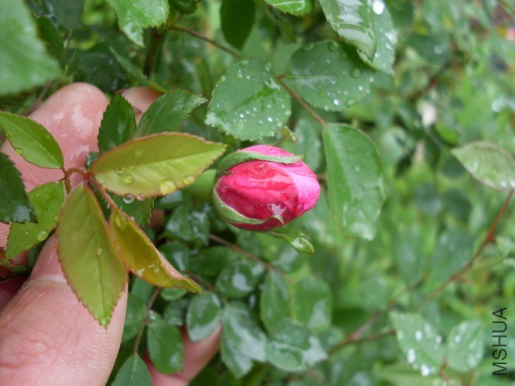 �쿪���й������¼������·ۣ�