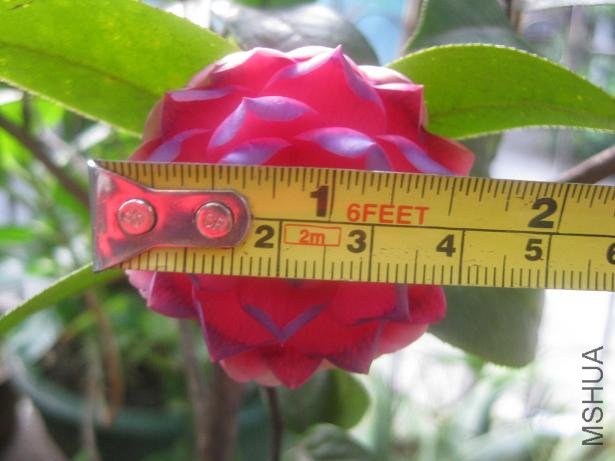 ���� 007.jpg