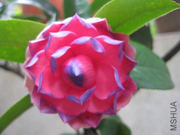 �軨���� --����005.jpg