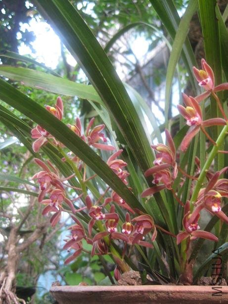 ���� 017.jpg