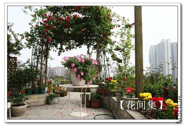 IMG_3541 ����.jpg