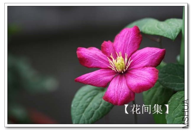 IMG_3578 ����.jpg