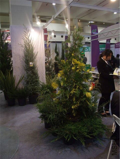 DSCF0067.JPG
