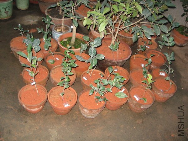 2��6�� �ʹ��Ľ�����С��1.jpg