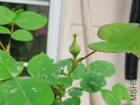 nEO_IMG_IMG_0769.jpg