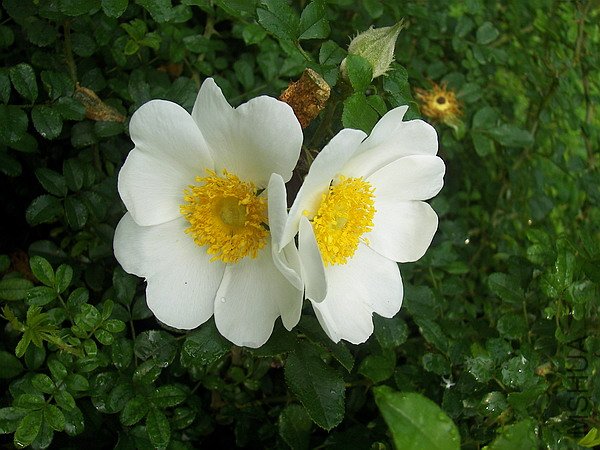 Ǿޱ��˶��Ǿޱ2.jpg