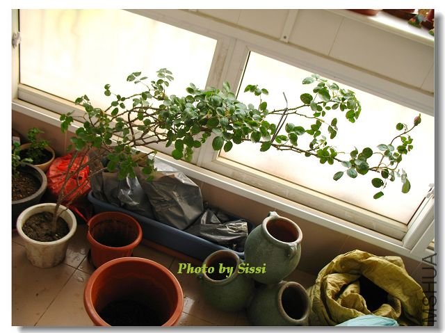 ���¸յ���ʱ��ȫ���գ�����2������~