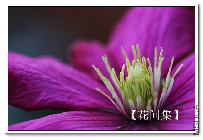 IMG_3582 ����.jpg