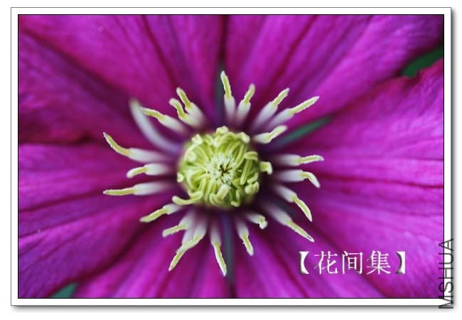 IMG_3581 ����.jpg