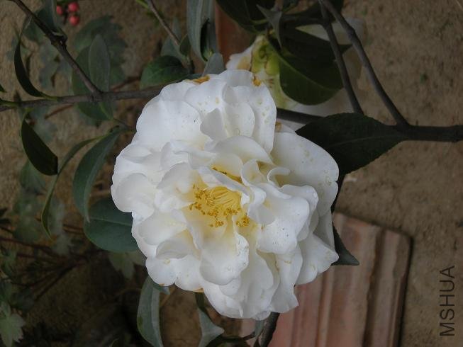 ��Ƭ 071.jpg