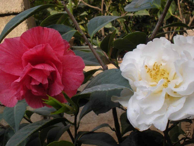 ��Ƭ 073.jpg