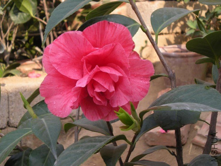 ��Ƭ 065.jpg