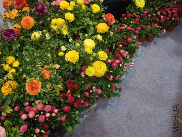 DSCF0075.JPG
