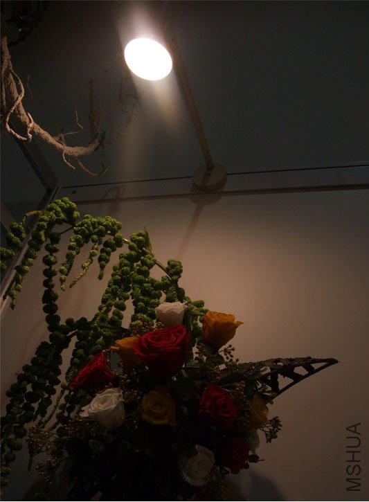 DSCF0089.JPG